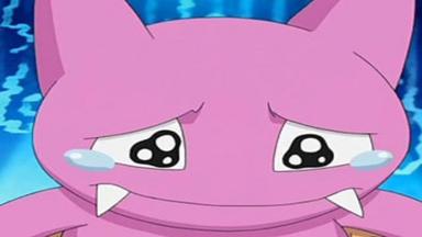 Pokémon 11x33