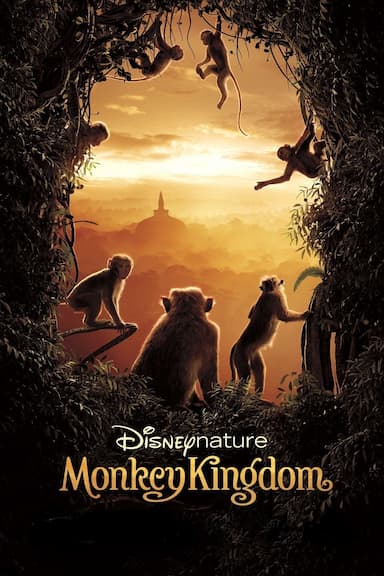 El Reino de los Monos