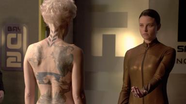 Continuum 2x8