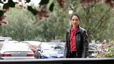 El tirador 3x12