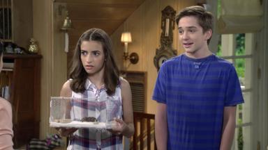 Tres por tres, el regreso 2x8