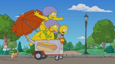 Los Simpson 33x5