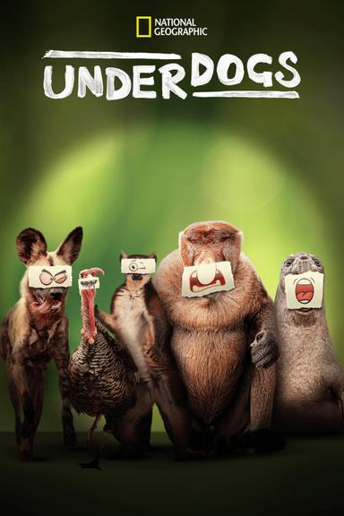 Underdogs 1x5