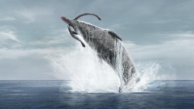 Planeta prehistórico 2x4