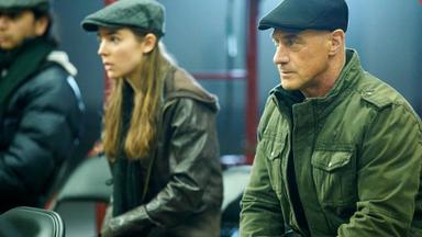 La ley y el orden: crimen organizado 2x13