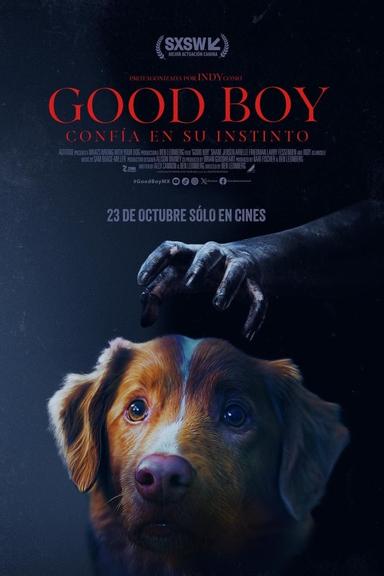 Good Boy: Confía en su instinto