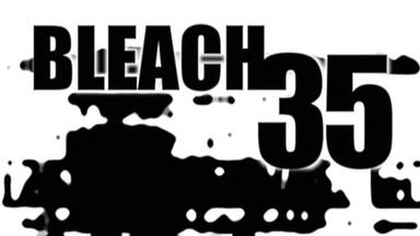 Bleach 1x35