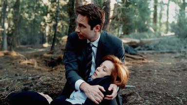 Los Expedientes Secretos X 7x22