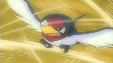 Pokémon 7x40