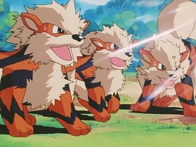 Pokémon 4x33