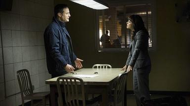 Códigos de familia 5x16