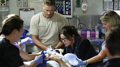 Code Black 2x1