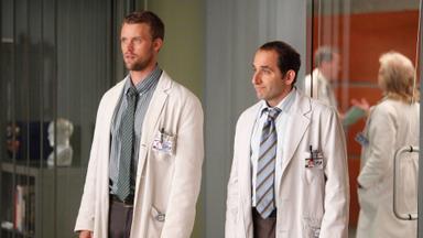 Dr. House 8x5