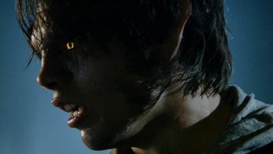 Lobo Adolescente 6x13