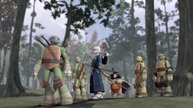 Las Tortugas Ninja 5x7