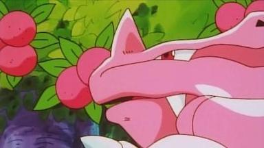 Pokémon 2x8