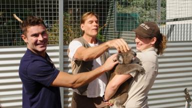 Zac Efron: Con los pies sobre la tierra 2x6