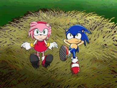 Sonic X 1x24