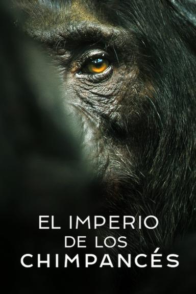 El imperio de los chimpancés