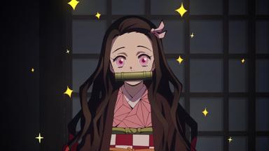 Demon Slayer: Kimetsu no Yaiba 1x14