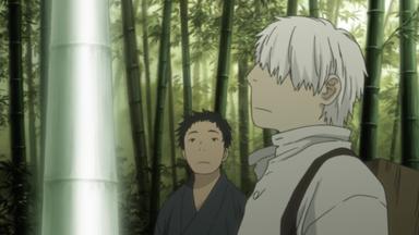 Mushishi 1x14