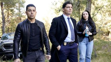 NCIS: Criminología Naval 22x15