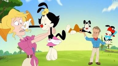 Animaniacs 1x1
