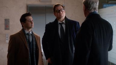 Bull 3x15