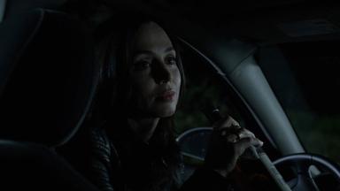 Banshee 4x5