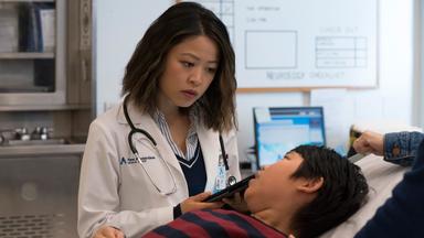 New Amsterdam 2x8
