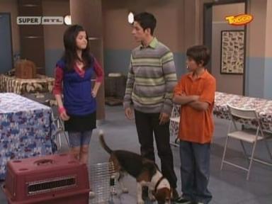 Los Hechiceros de Waverly Place 1x8