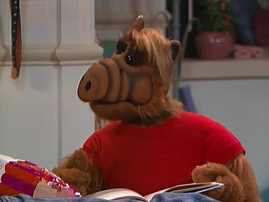 ALF 3x1