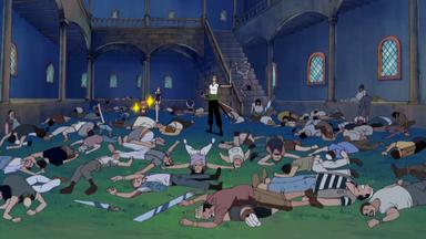 One Piece 8x244