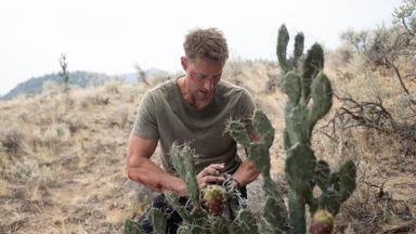 Tracker: Buscador de recompensas 3x4