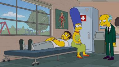 Los Simpson 33x11