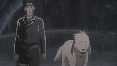 Naruto Shippuden 5x94