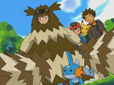 Pokémon 6x5