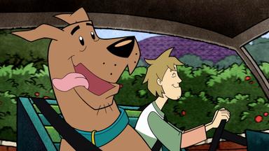 Shaggy y Scooby-Doo Detectives! 2x1