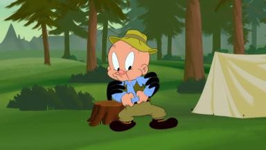 Looney Tunes Cartoons 4x2