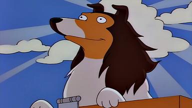 Los Simpson 8x20