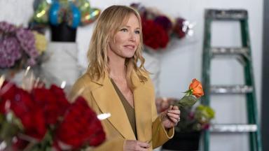 La Ley y el Orden: Unidad de Víctimas Especiales 25x11