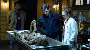 Grimm 6x5