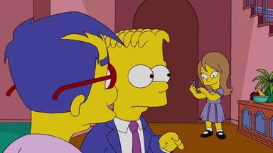 Los Simpson 20x17