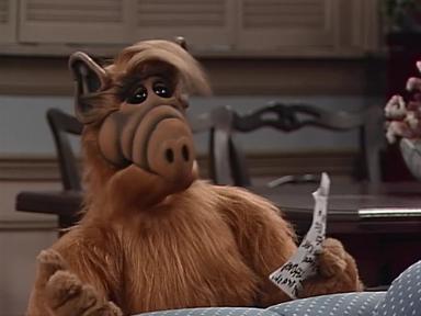ALF 4x13