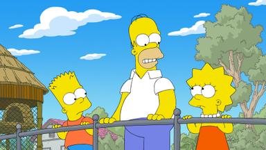 Los Simpson 34x1