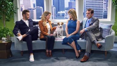 Tres por tres, el regreso 4x3