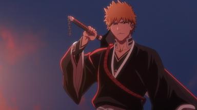 Bleach 2x1