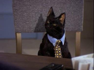 Sabrina, la bruja adolescente 1x22