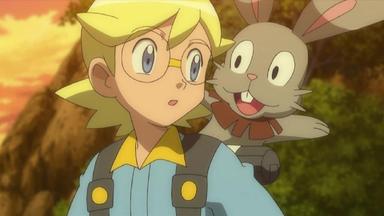 Pokémon 18x40