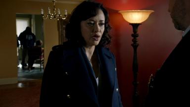 Códigos de familia 14x8